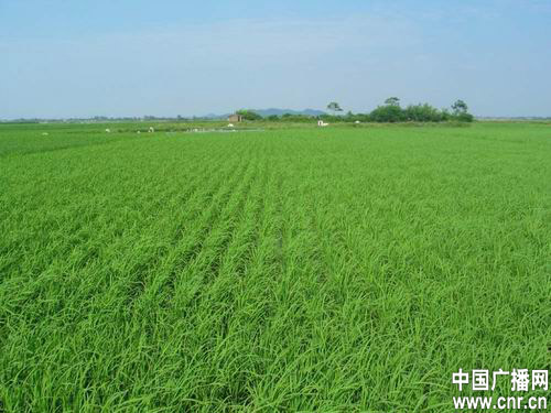 點(diǎn)擊瀏覽下一頁(yè)