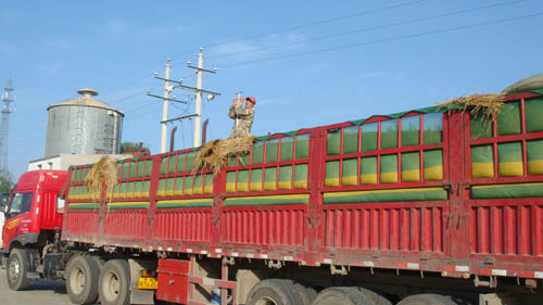 點擊瀏覽下一頁