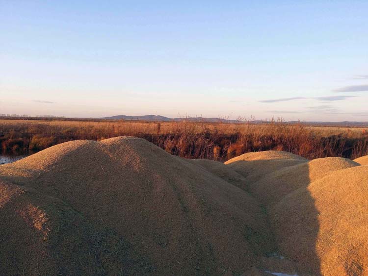 點擊瀏覽下一頁